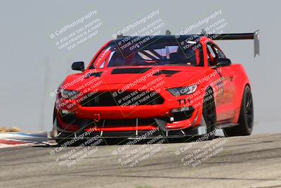 media/Jul-26-2025-Speed Ventures (Sat) [[fe569e6cf0]]/Red Group/Grapevine/